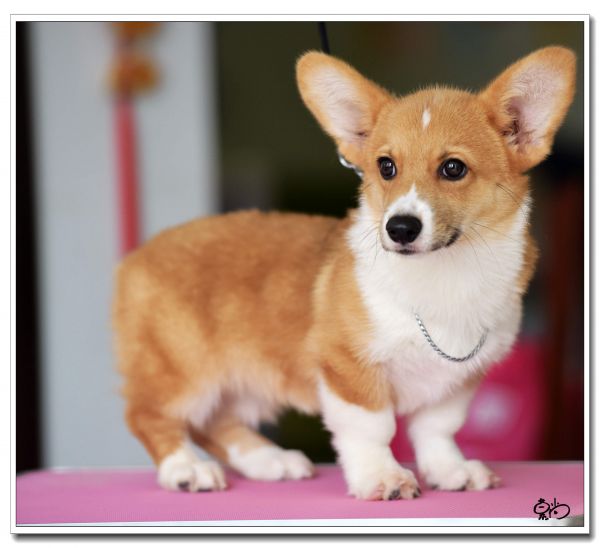 DSC_1253_副本.jpg