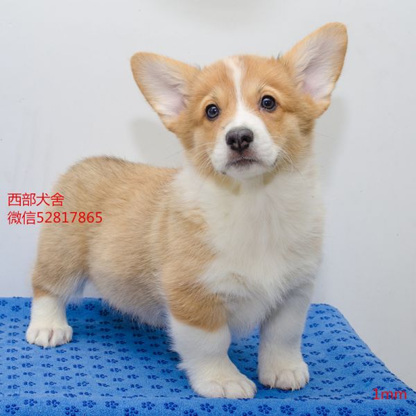 DSC_7360_副本_副本.jpg