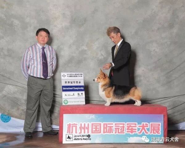 世界.jpg