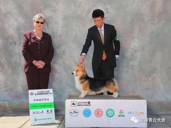 中国.jpg