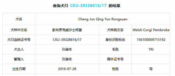 萱萱证书1.png
