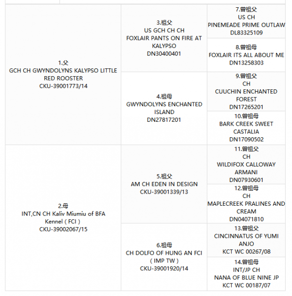 萱萱证书2.png