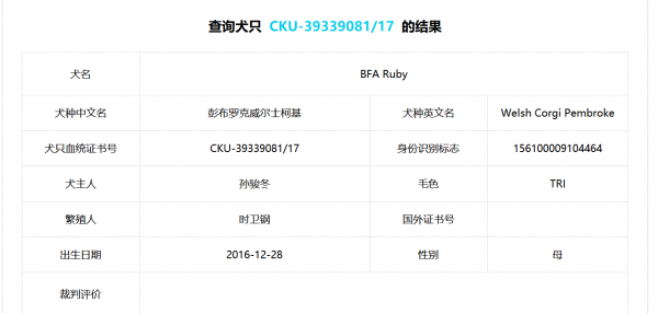 玥玥证书1.png