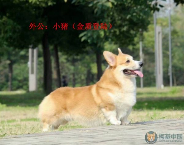 103823i7su42e92mz9e4e7.jpg