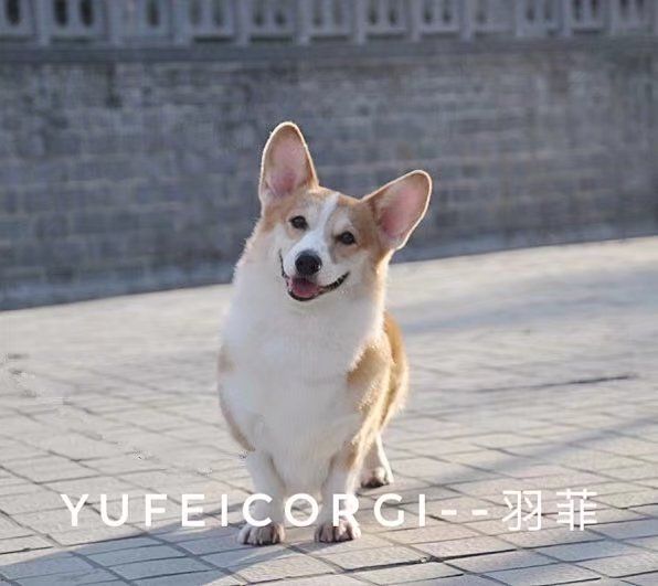 11.jpg