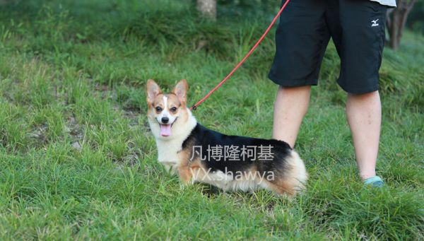 IMG_0104_副本.jpg