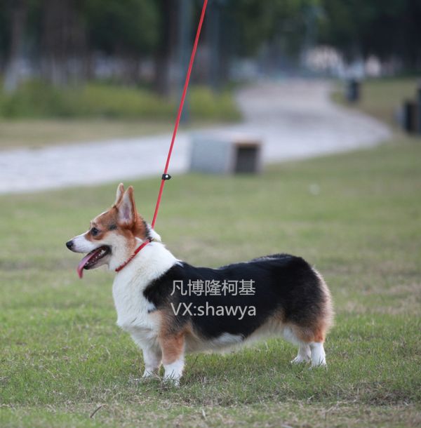 IMG_0180_副本.jpg