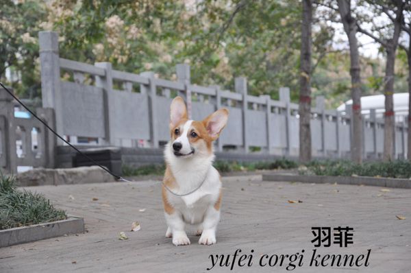 IMG_3467_副本.jpg