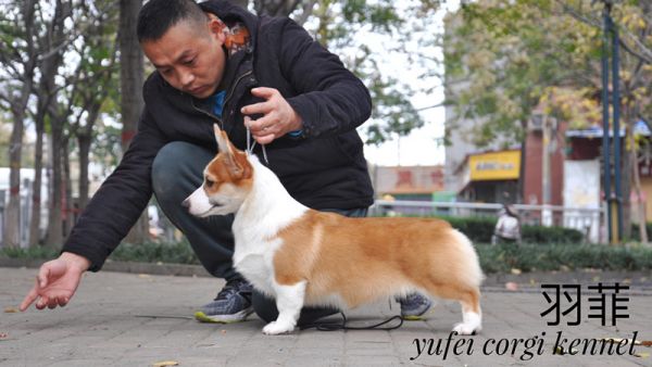 IMG_3456_副本.jpg