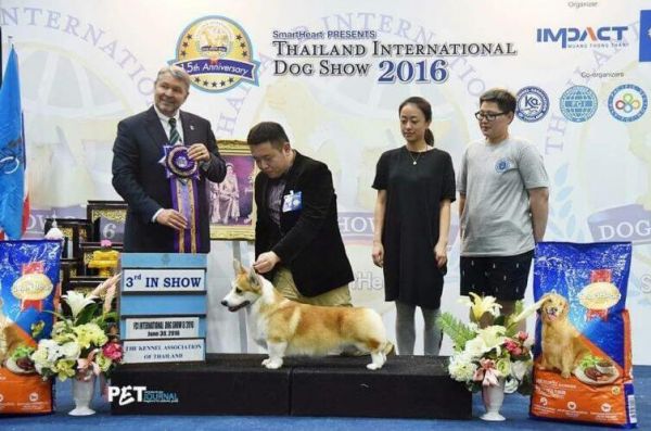 QQ截图20171102231556.jpg