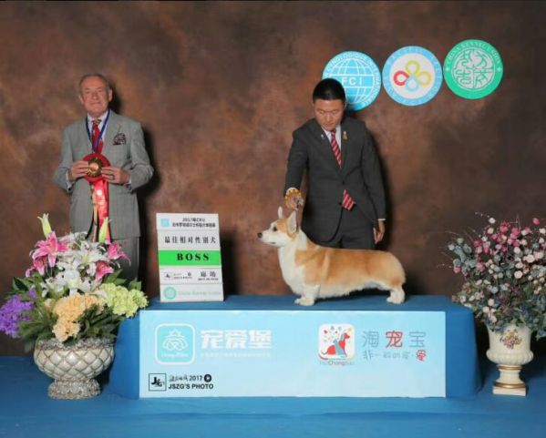 QQ截图20171102231653.jpg