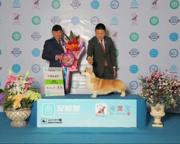 QQ截图20171102231714.jpg