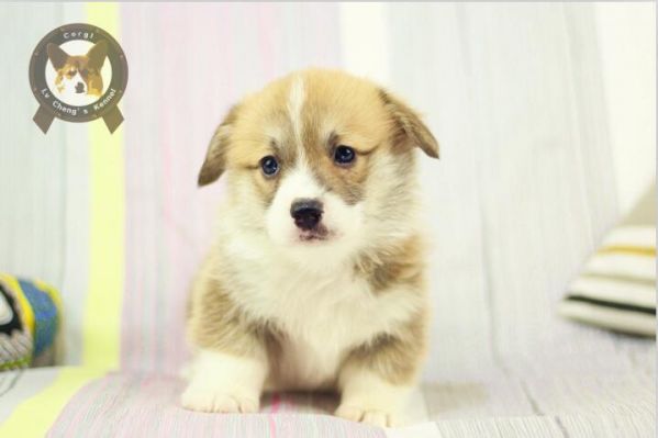 QQ截图20171102230916.jpg