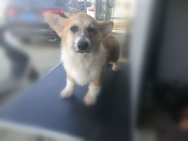 QQ图片20171103094725.jpg