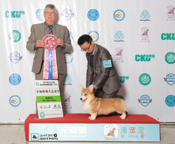QQ截图20171103235233.jpg