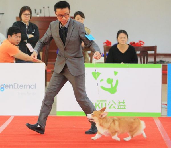 QQ截图20171103235315.jpg