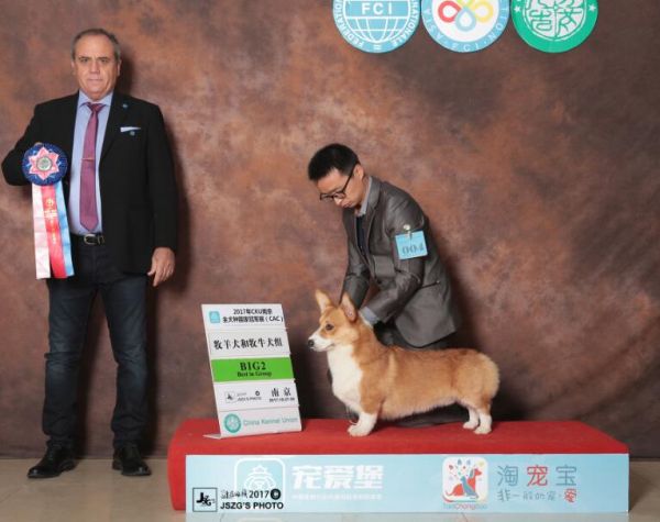QQ截图20171103235638.jpg