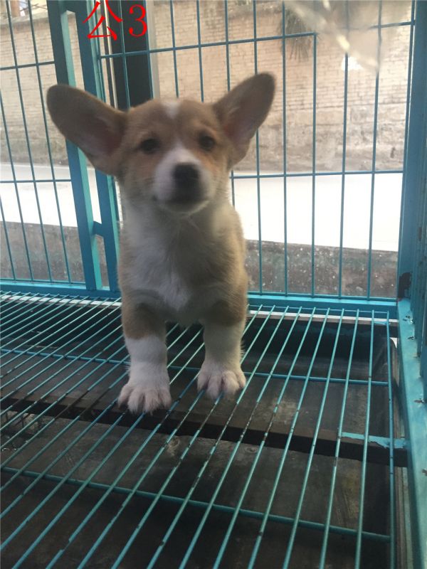 IMG_1392(1) - 副本.jpg