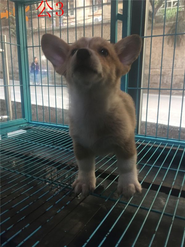 IMG_1396(1) - 副本.jpg