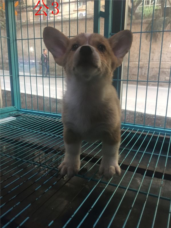 IMG_1397(1) - 副本.jpg