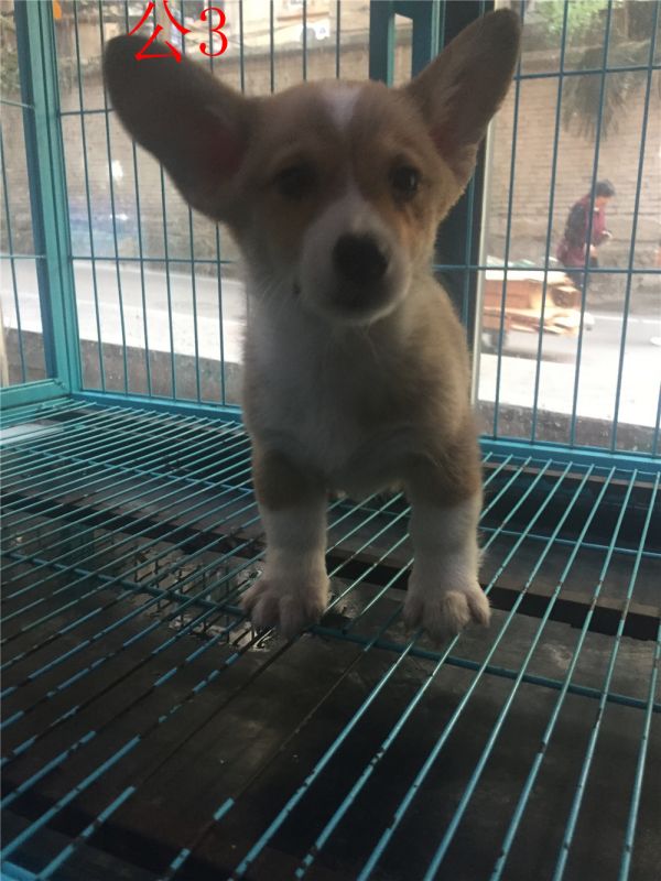 IMG_1399 - 副本.jpg