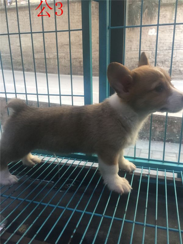 IMG_1389 - 副本.jpg