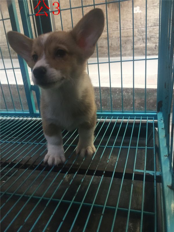 IMG_1391 - 副本.jpg