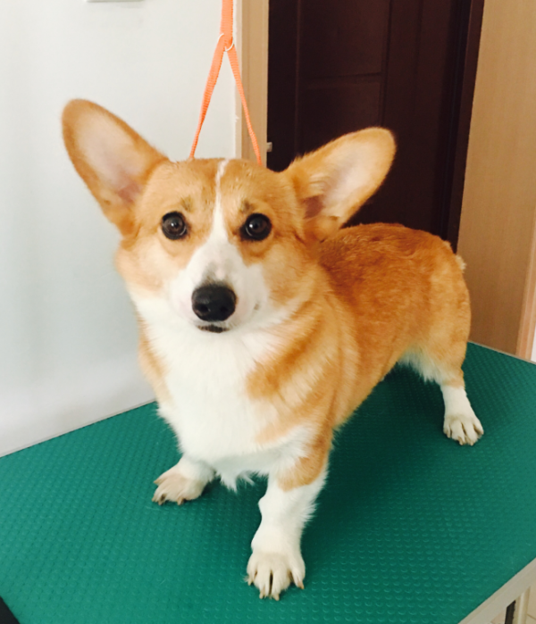 妈妈