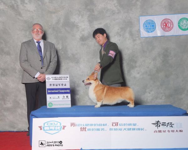 祖爷