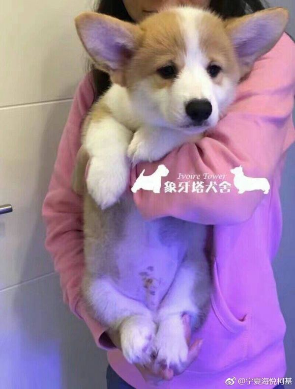 微信图片_20171110130449.jpg