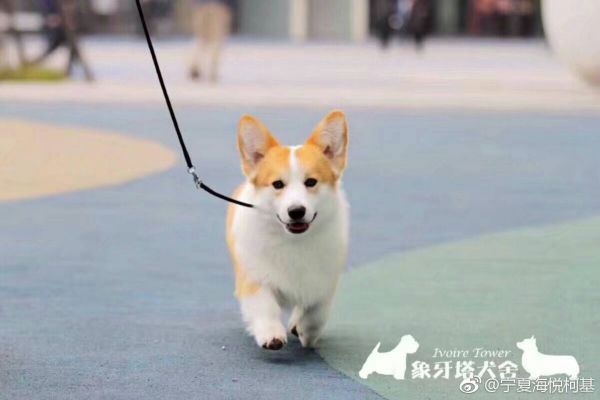微信图片_20171110130434.jpg