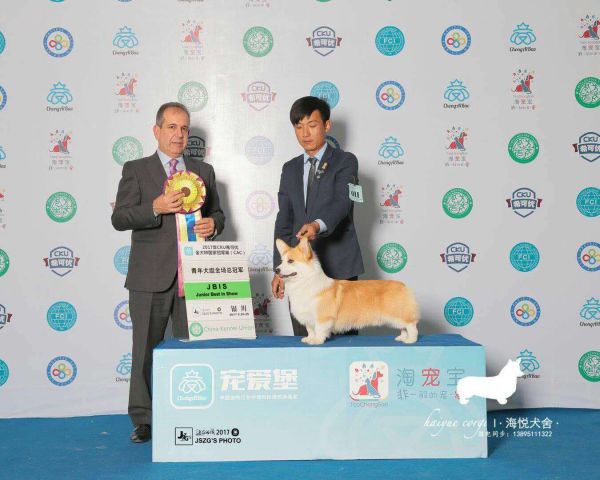 微信图片_20171110130519.jpg