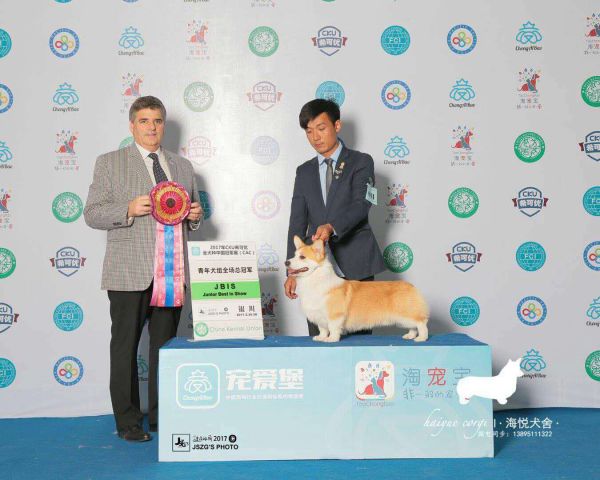 微信图片_20171110130522.jpg