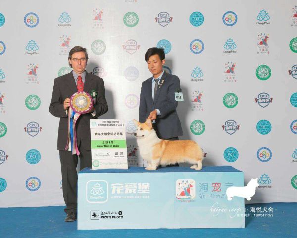 微信图片_20171110130526.jpg
