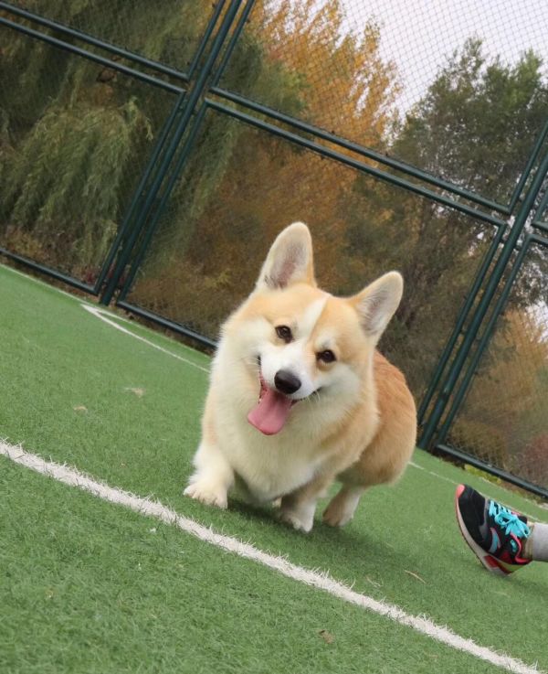 微信图片_20171110132540.jpg