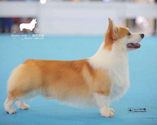 微信图片_20171110130623.jpg