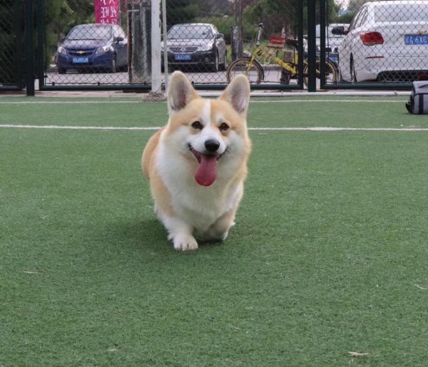 微信图片_20171110132536.jpg