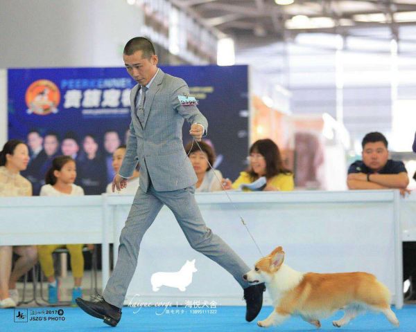 微信图片_20171110130600.jpg
