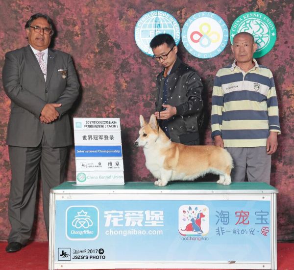 QQ截图20171112121747.jpg