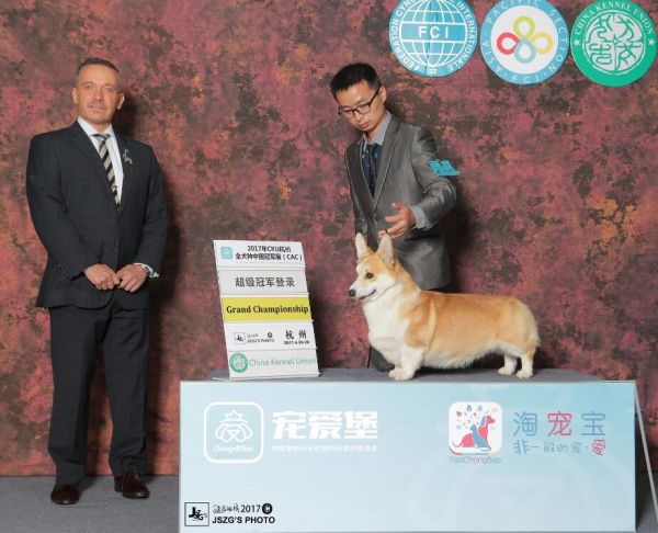 QQ截图20171112121826.jpg