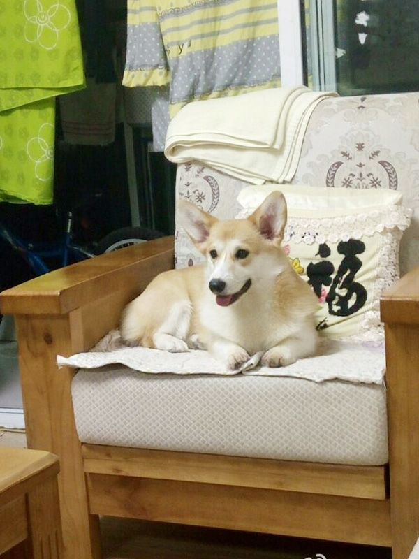 美美.jpg