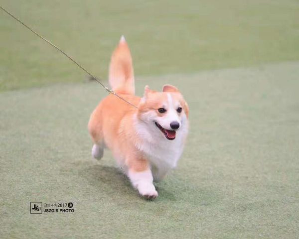 微信图片_20170810061054.jpg