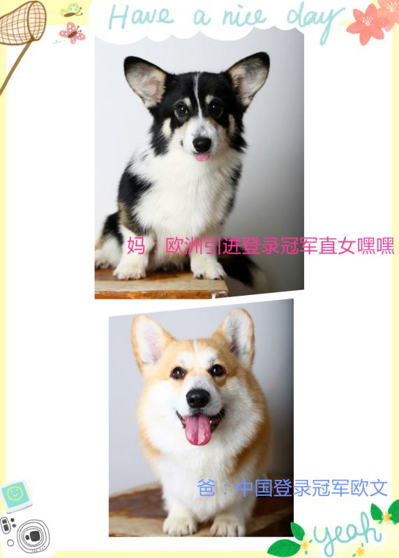psb_副本.jpg
