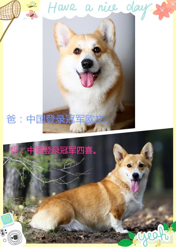 initpintu_副本.jpg