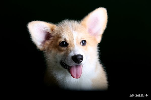 IMG_5813.JPG