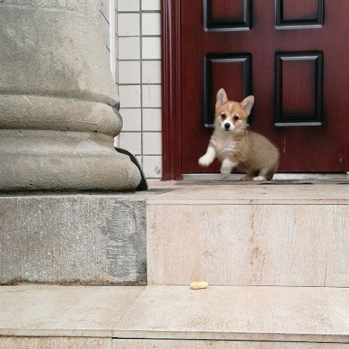 1510735752899.jpg
