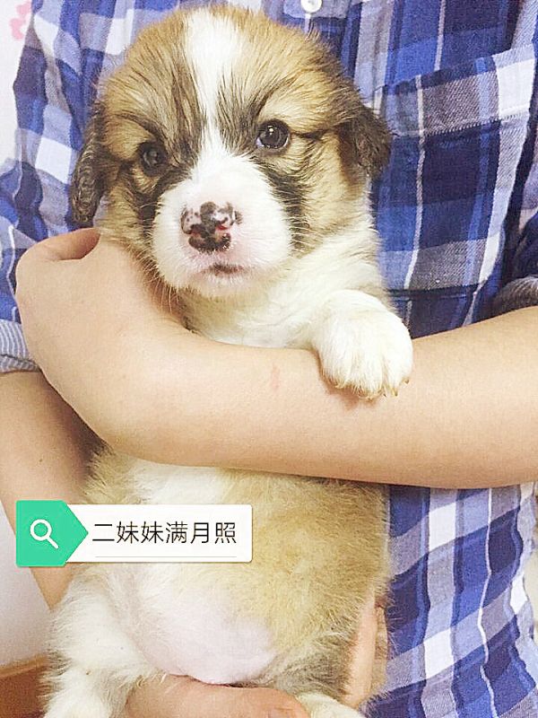 QQ图片20171118091507_副本.jpg