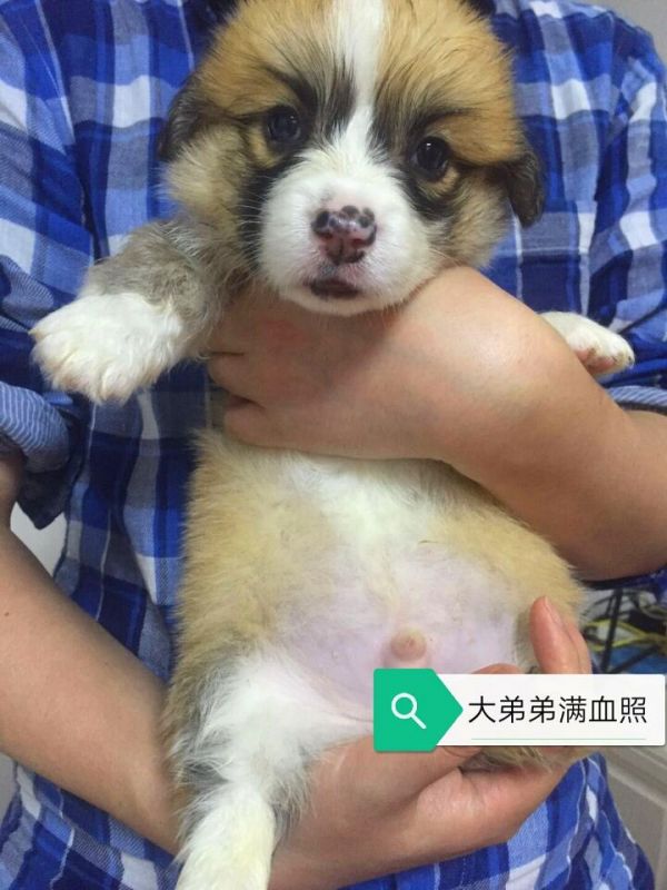 QQ图片20171118091514_副本.jpg