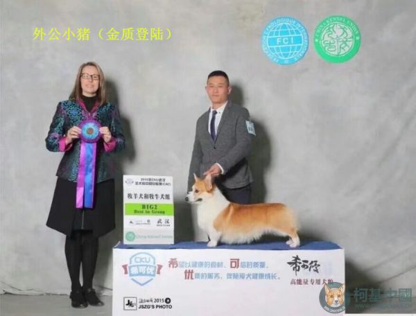 QQ图片20171118091525_副本.jpg