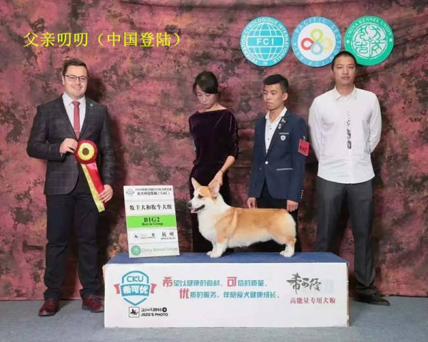 QQ图片20171118091531_副本.jpg